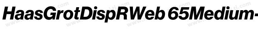 HaasGrotDispRWeb 65Medium字体转换